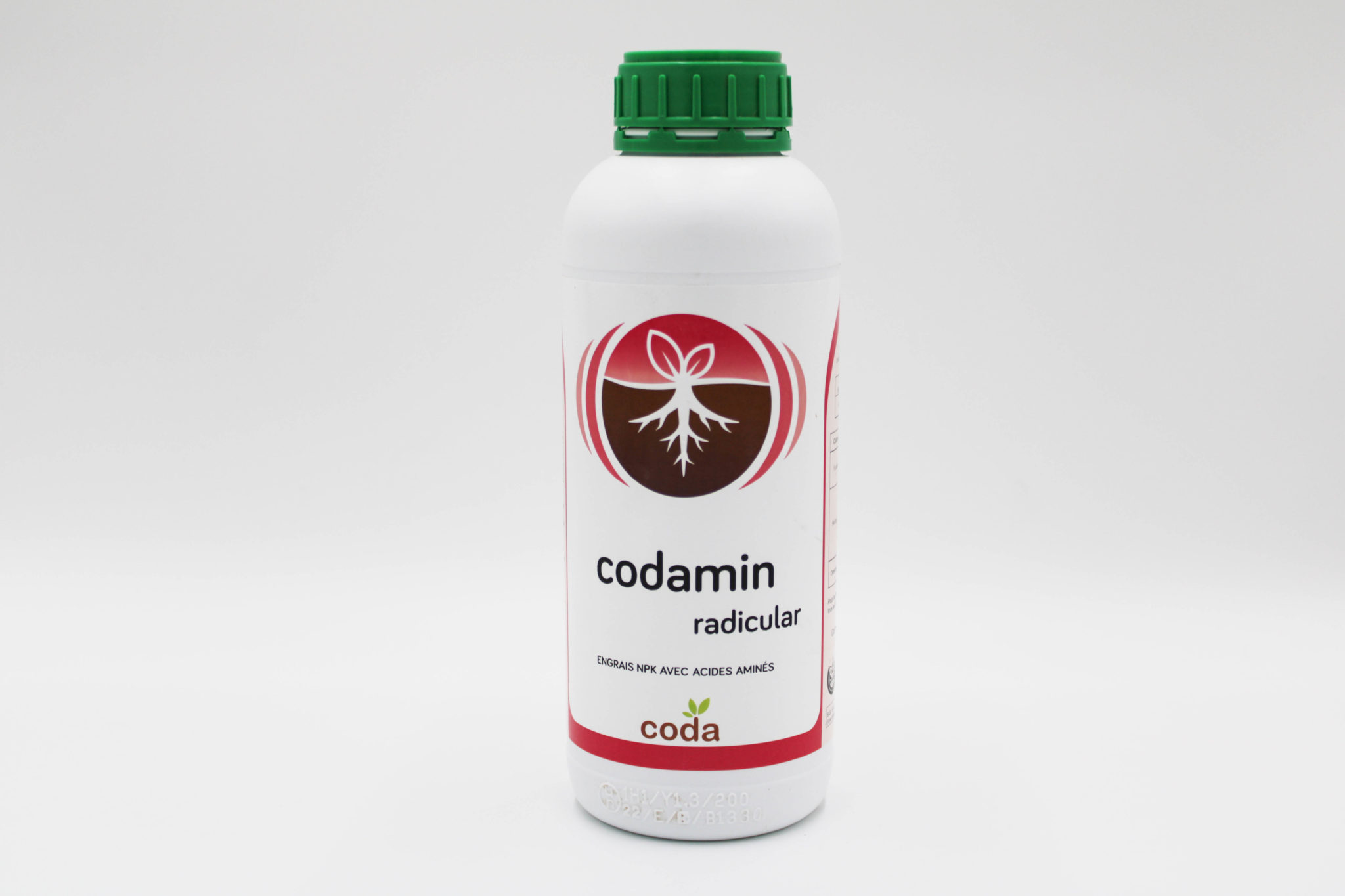 CODAMIN RADICULAR – SPIA