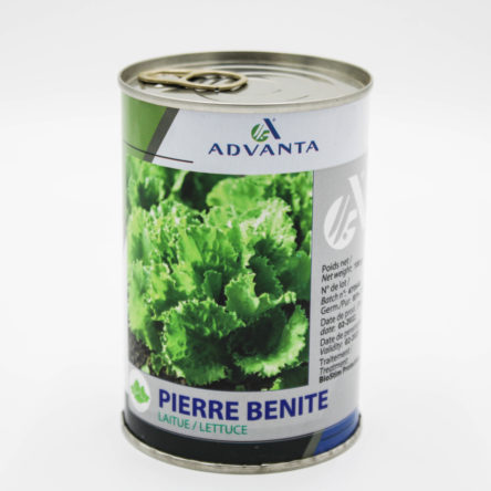 LAITUE PIERRE BENITE