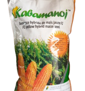 MAÏS Hybride F1 KABAMANOJ