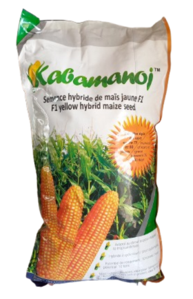 MAÏS Hybride F1 KABAMANOJ
